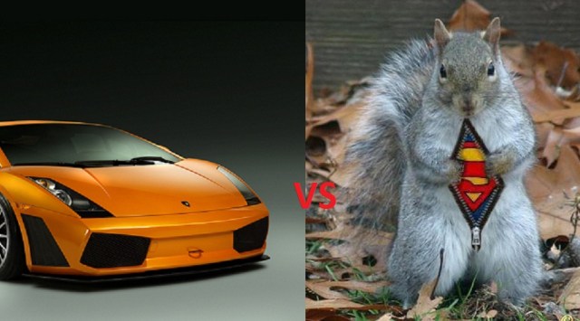 Lamborghini_vs_squirrel_2