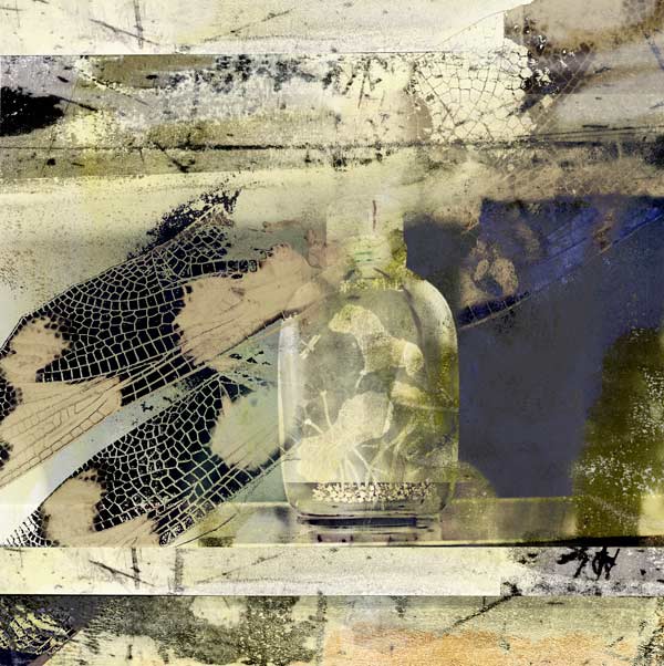 ImpermanenceStudyNo.17Dragonfly