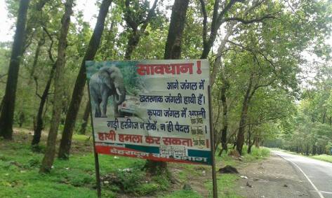 elephant sign