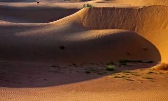 desert